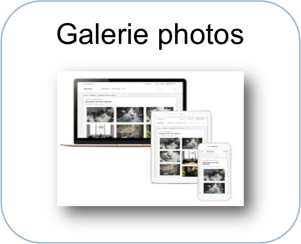 option galerie photos