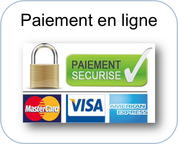 option paiement en ligne